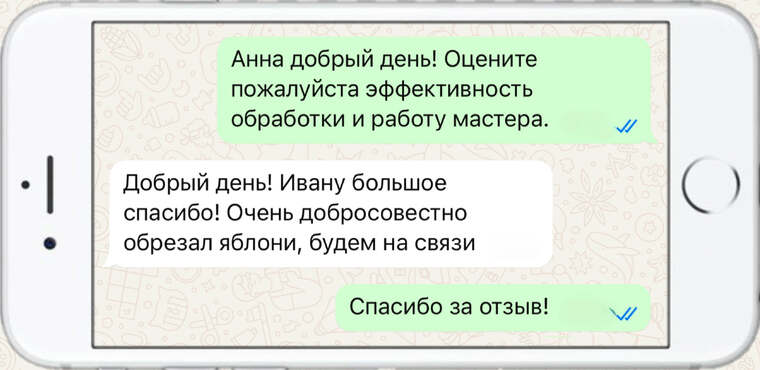 служба по борьбе с борщевиком - фото №4