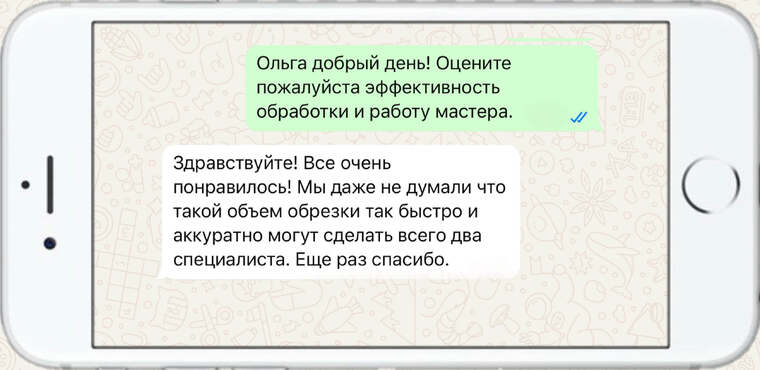 служба по борьбе с борщевиком - фото №6