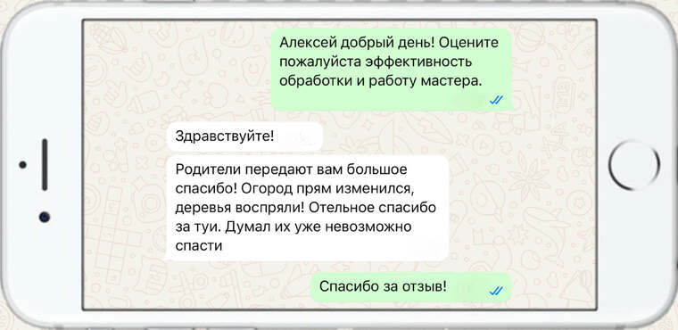 служба по борьбе с борщевиком - фото №18