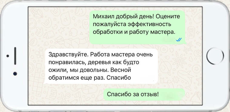 служба по борьбе с борщевиком - фото №19