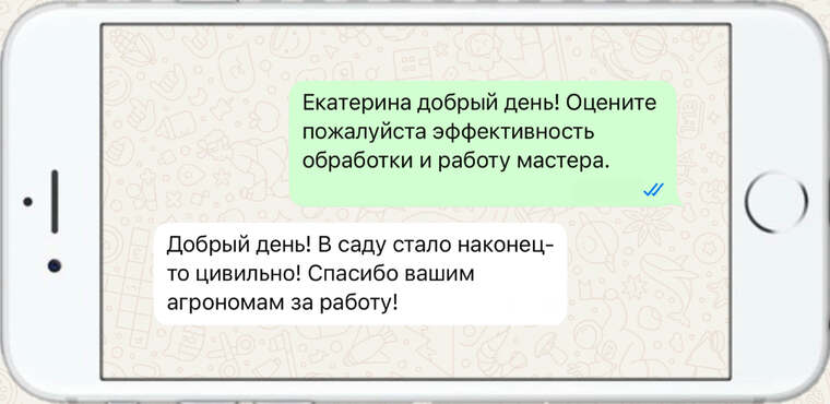 служба по борьбе с борщевиком - фото №21